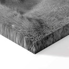 Romantic Lion Couple Canvas Print