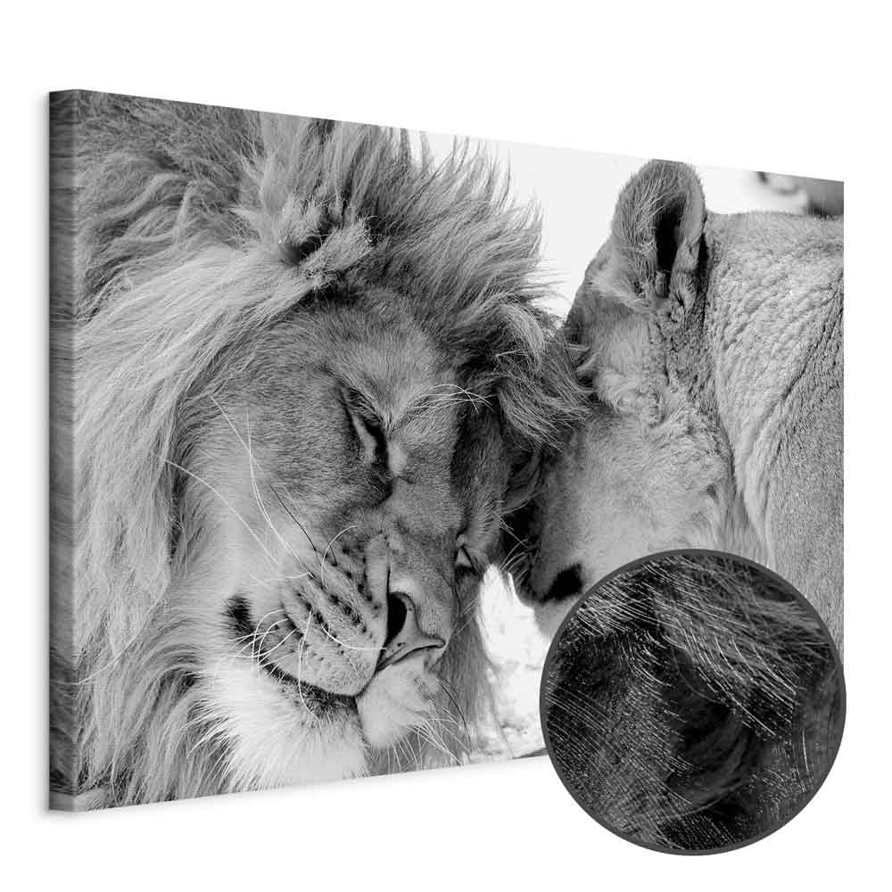 Romantic Lion Couple Canvas Print
