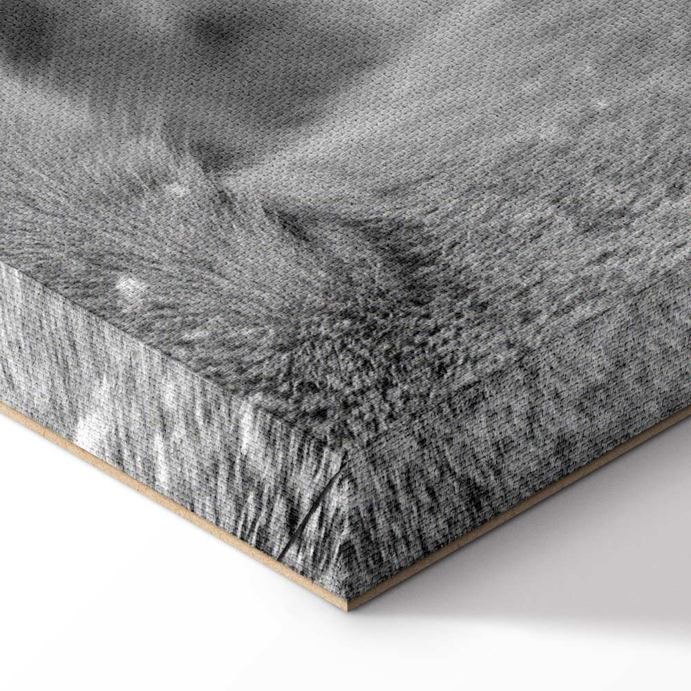 Romantic Lion Couple Canvas Print