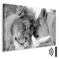 Romantic Lion Couple Canvas Print