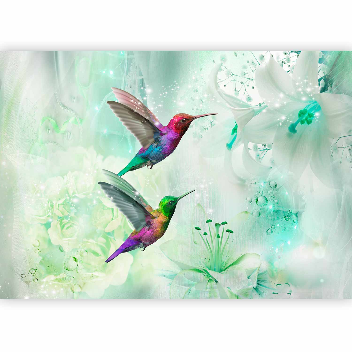 Colourful Hummingbirds Green Wall Mural