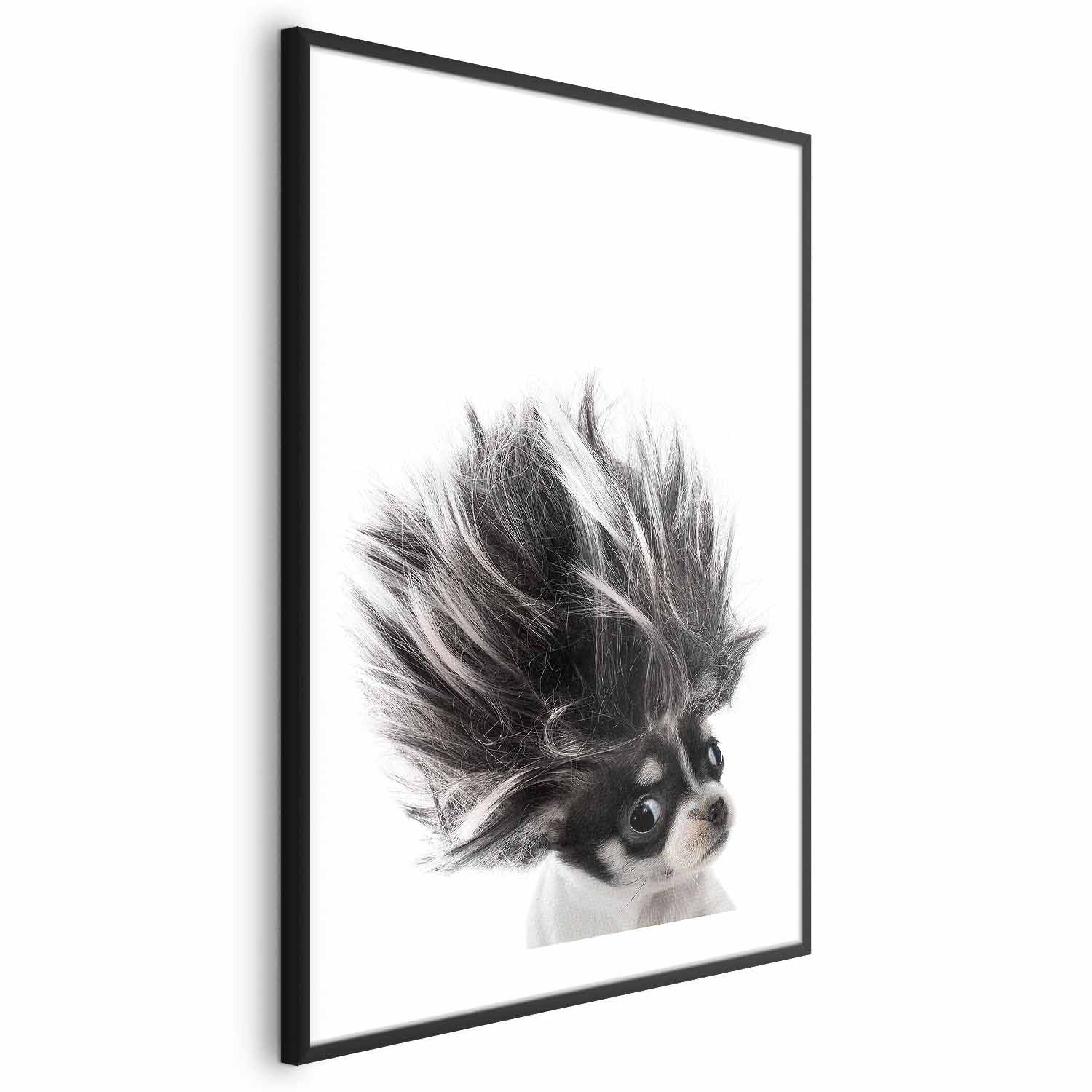 Chihuahua Dog Animal Poster
