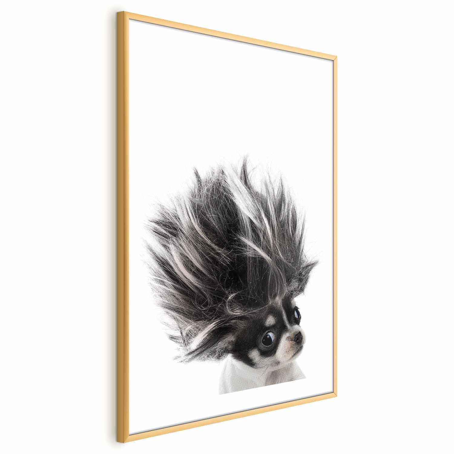 Chihuahua Dog Animal Poster
