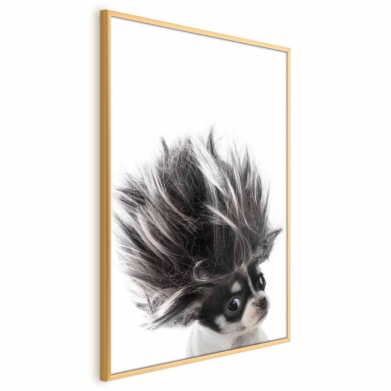 Chihuahua Dog Animal Poster