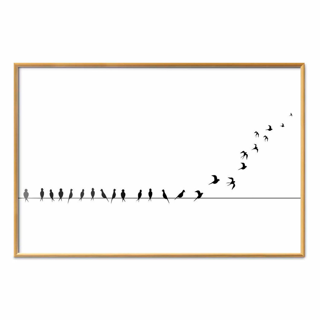 Flying Birds Nature Poster