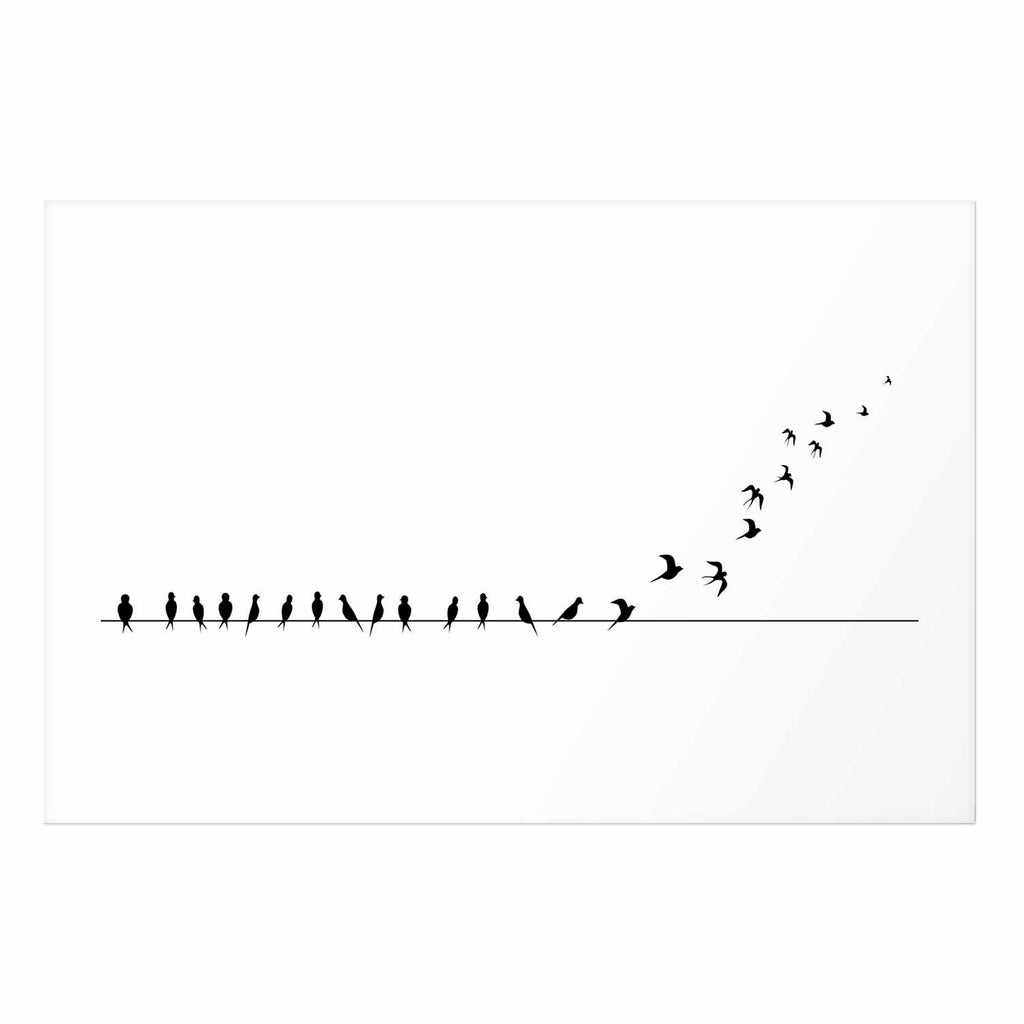 Flying Birds Nature Poster