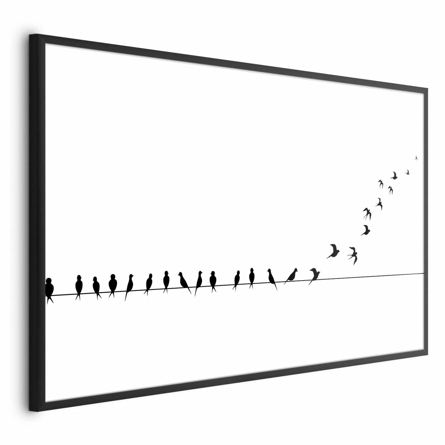 Flying Birds Nature Poster