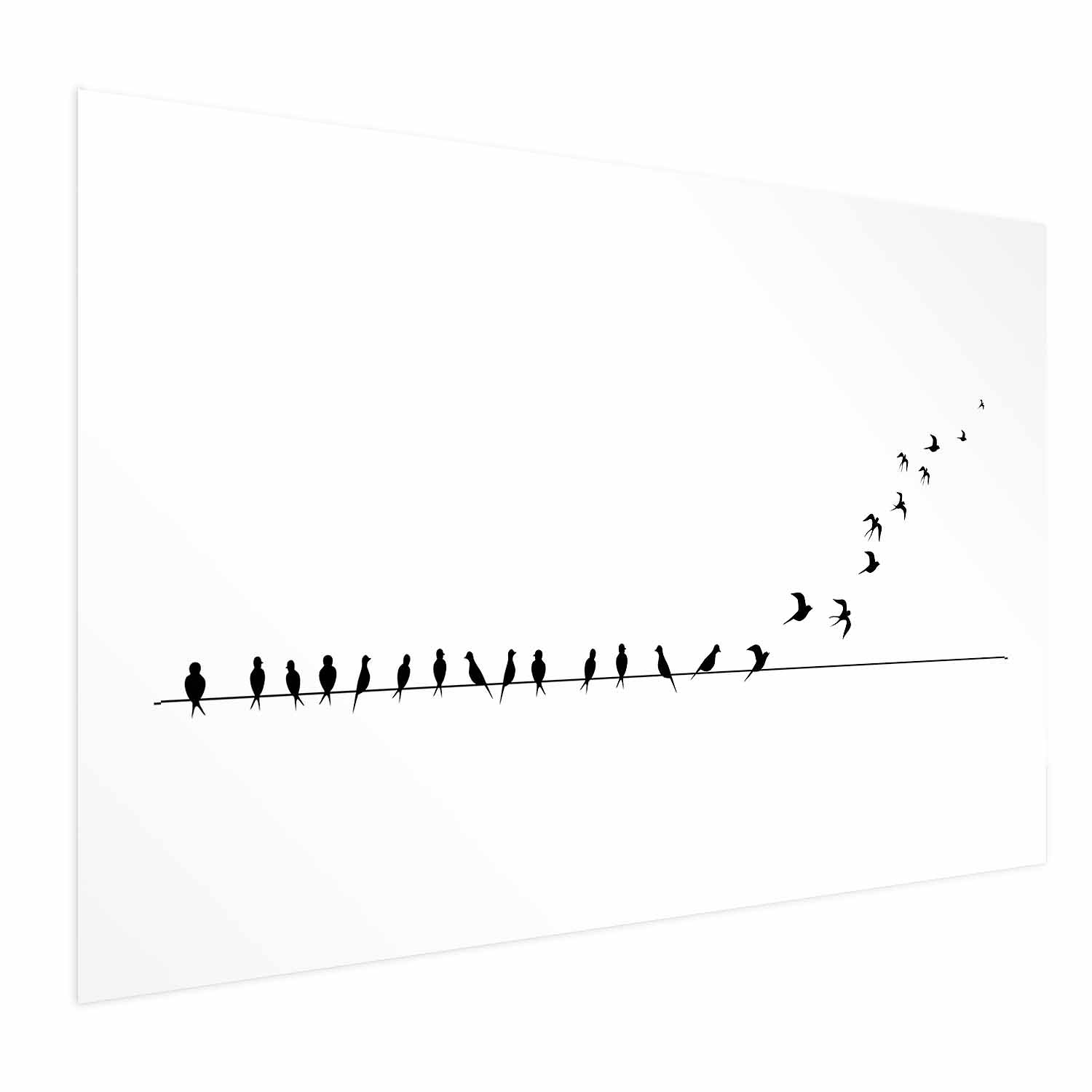Flying Birds Nature Poster