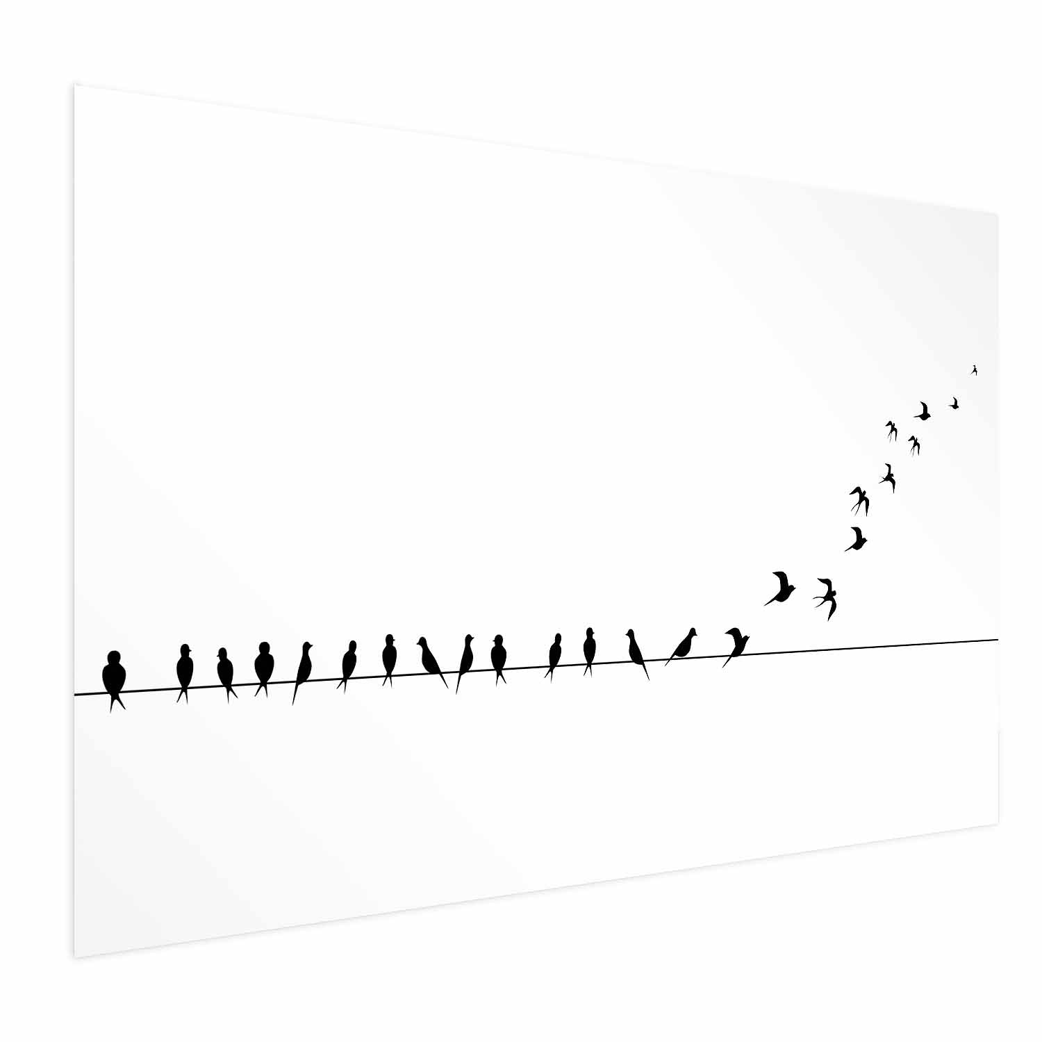 Flying Birds Nature Poster