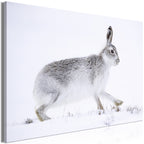 Canvas Print Hare Wide 1 Part