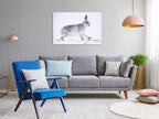 Canvas Print Hare Wide 1 Part
