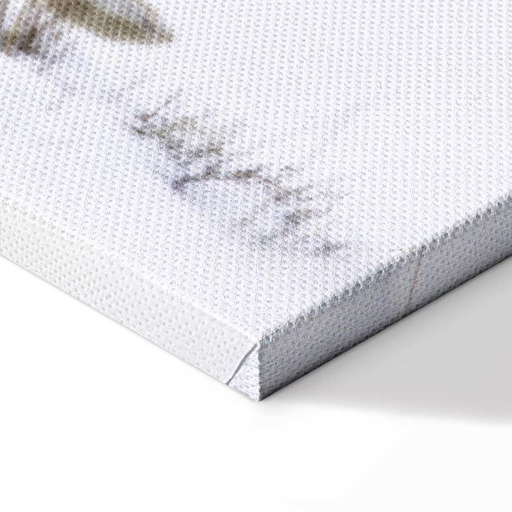 Winter Hare Nature Canvas Print