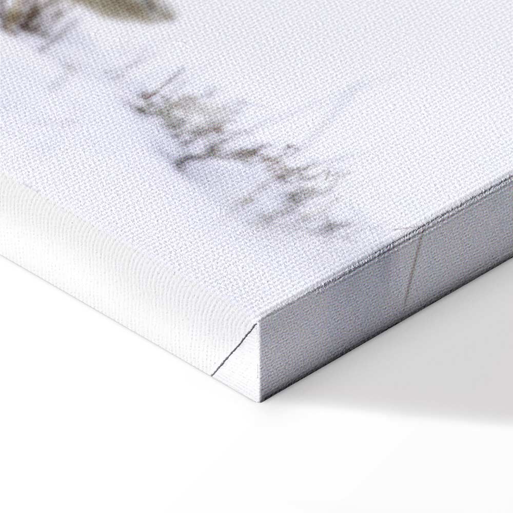 Winter Hare Nature Canvas Print