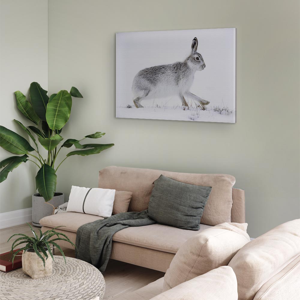 Winter Hare Nature Canvas Print
