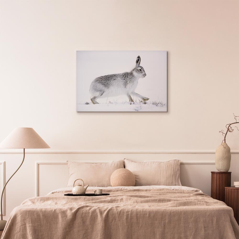 Winter Hare Nature Canvas Print