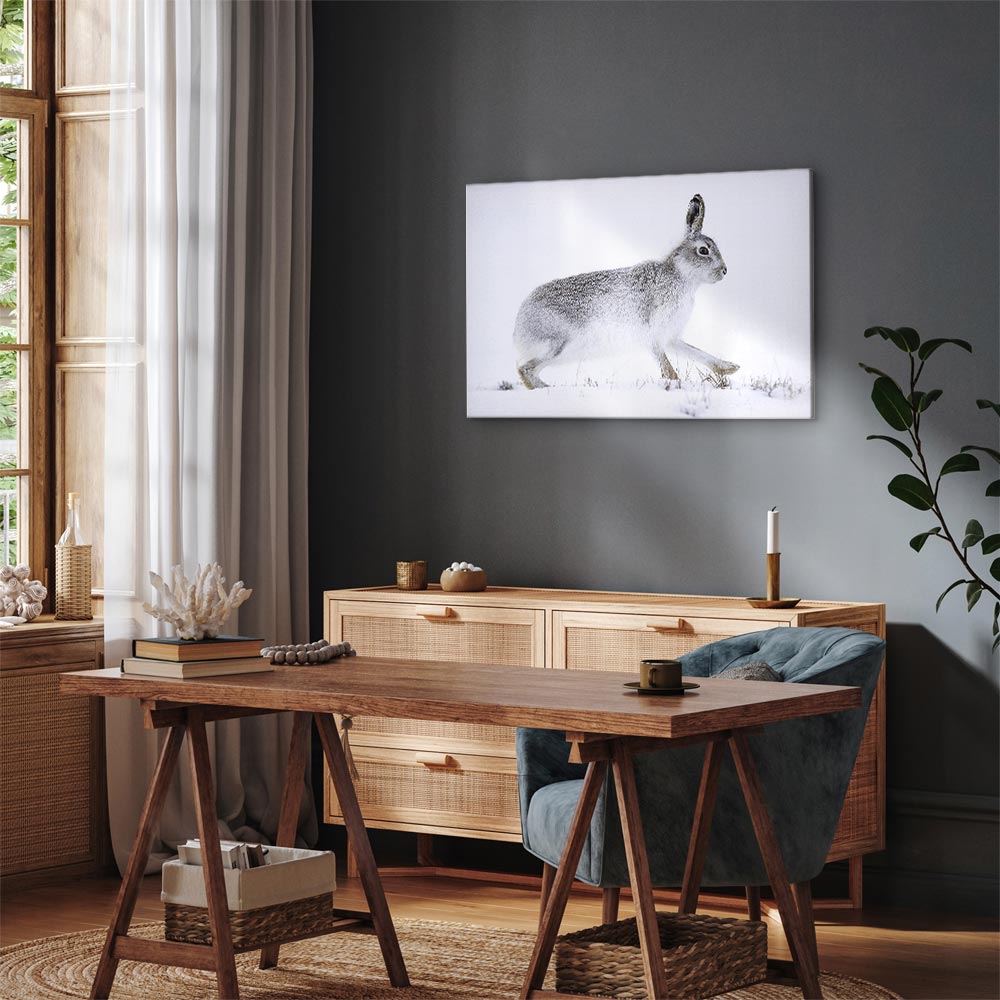 Winter Hare Nature Canvas Print