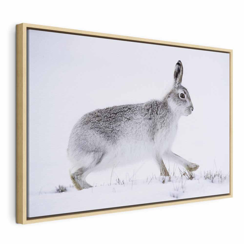 Winter Hare Nature Canvas Print