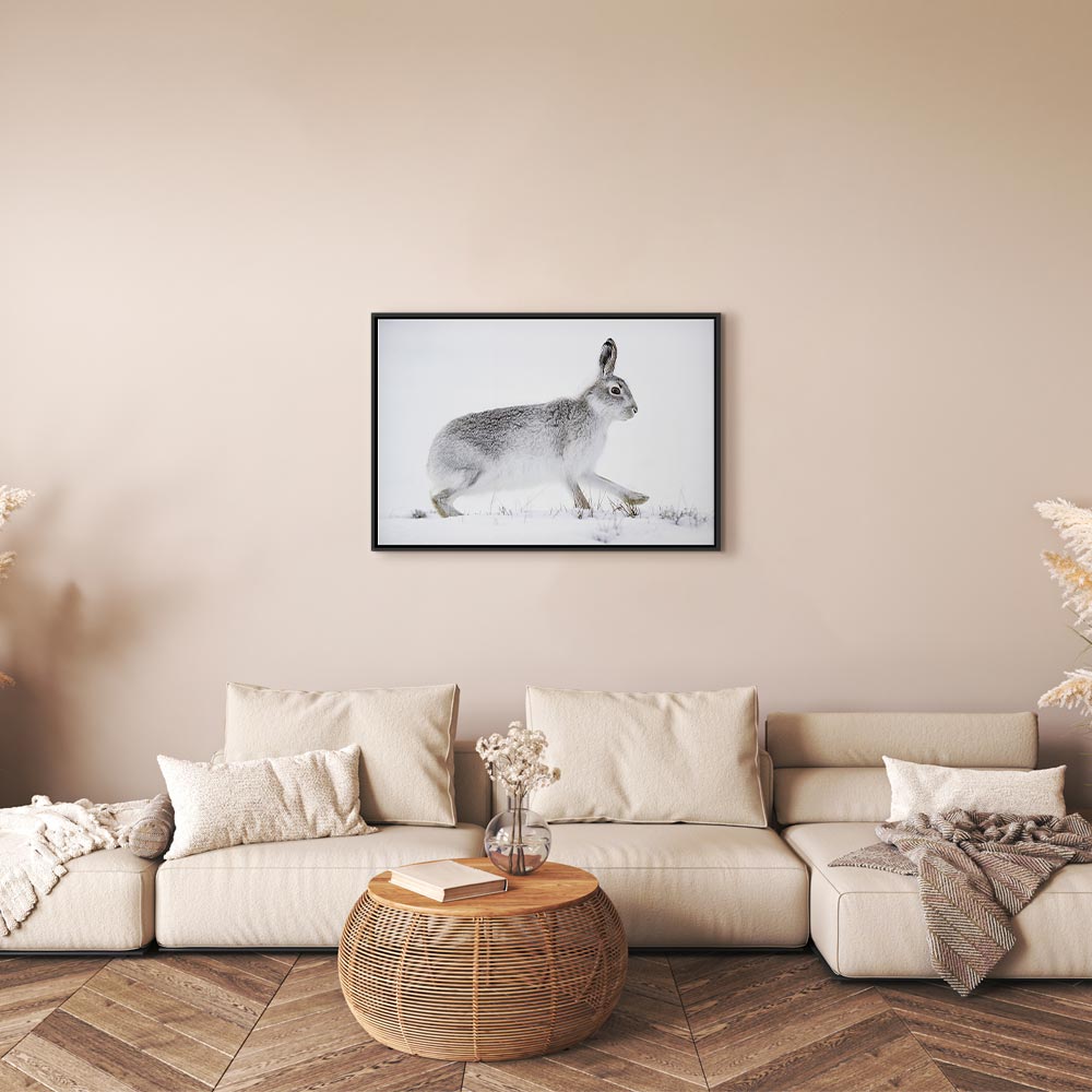 Winter Hare Nature Canvas Print