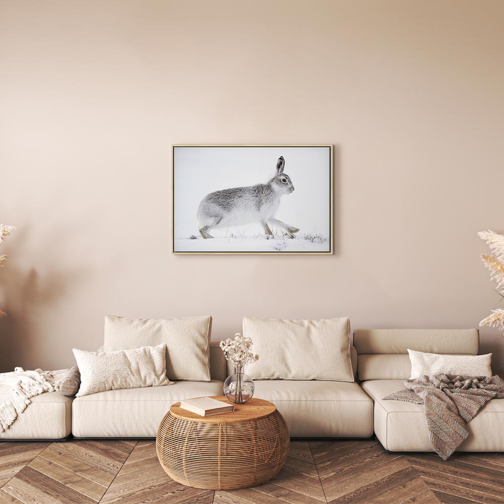Winter Hare Nature Canvas Print
