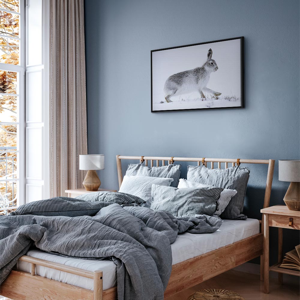 Winter Hare Nature Canvas Print