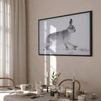 Winter Hare Nature Canvas Print