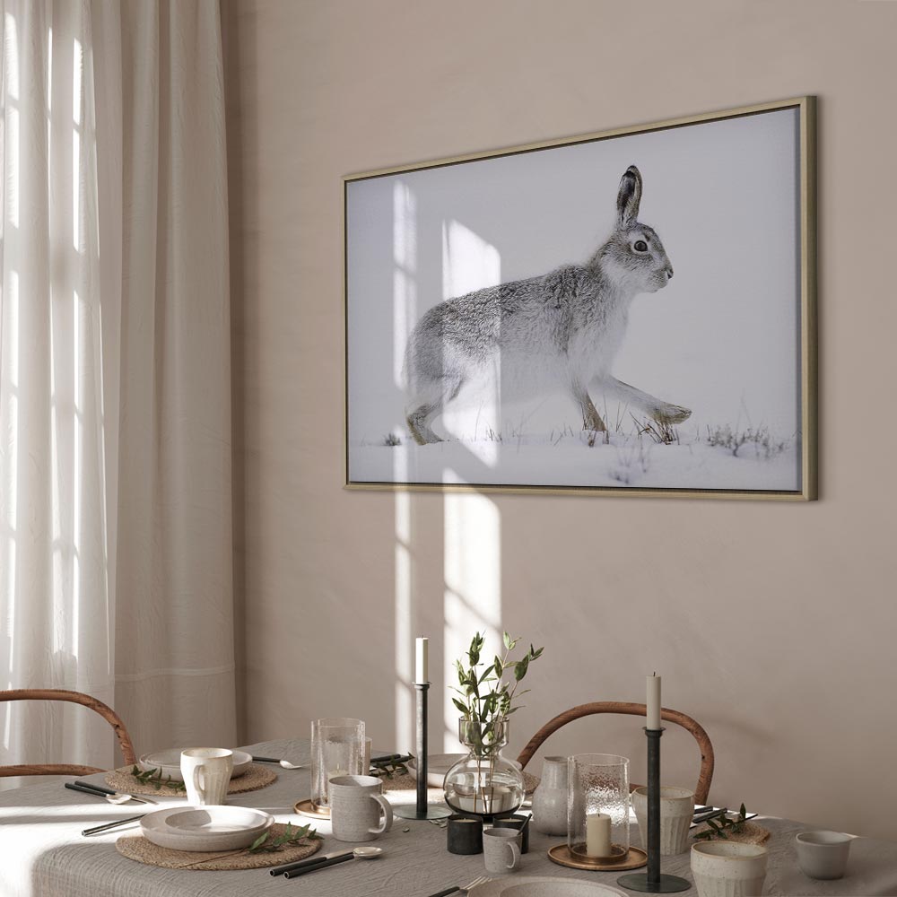 Winter Hare Nature Canvas Print