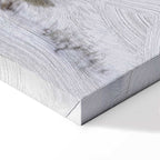 Winter Hare Nature Canvas Print