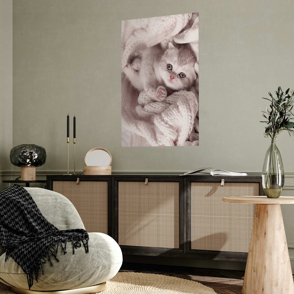 Sleeping Cat Winter Poster