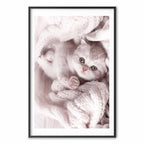 Sleeping Cat Winter Poster