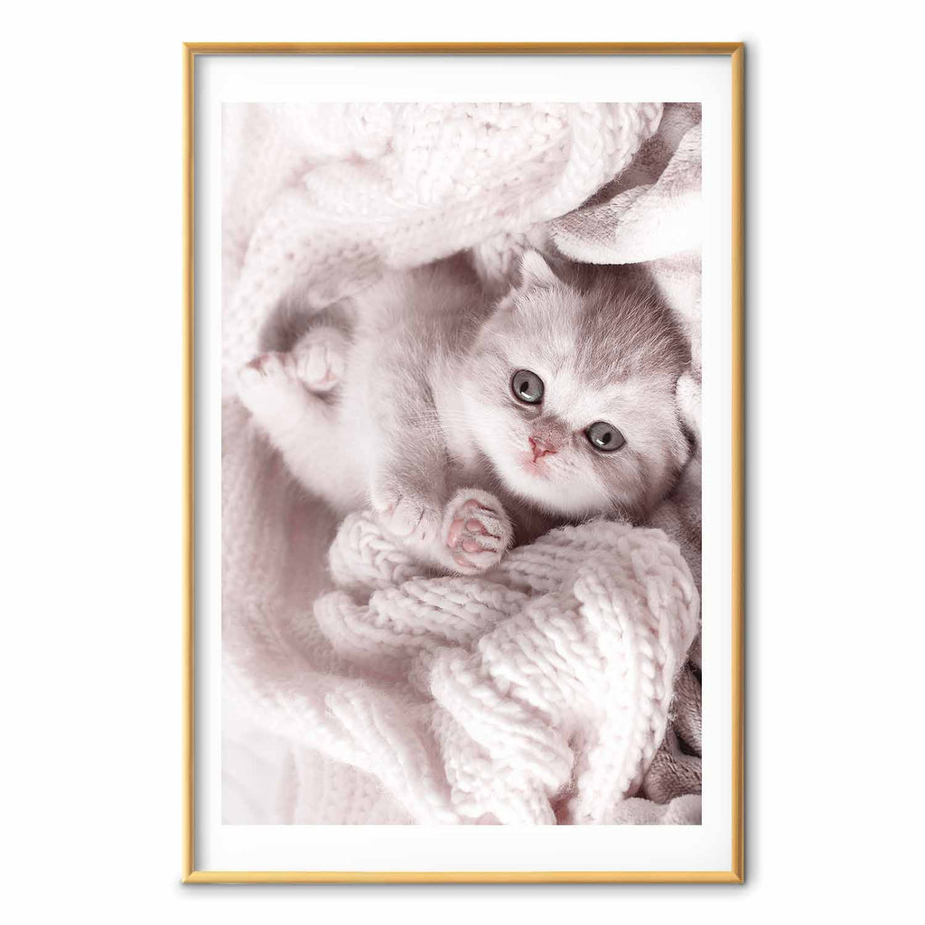 Sleeping Cat Winter Poster