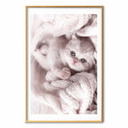 Sleeping Cat Winter Poster