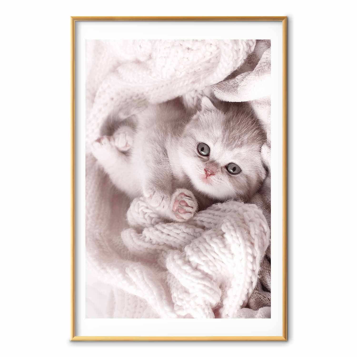 Sleeping Cat Winter Poster