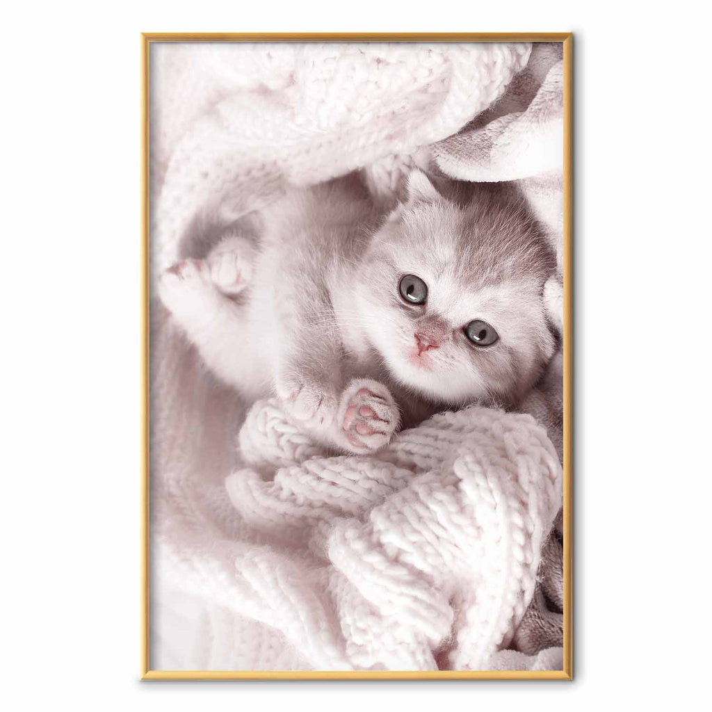 Sleeping Cat Winter Poster