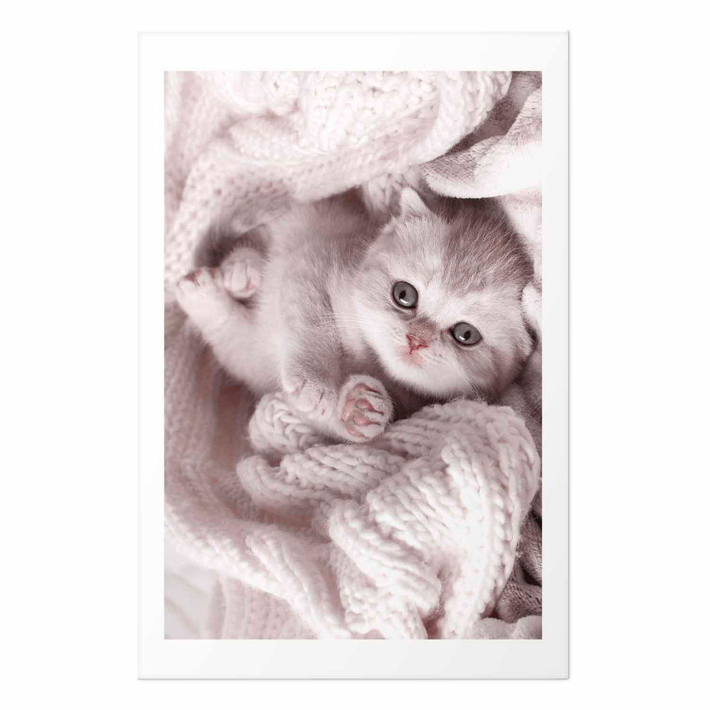 Sleeping Cat Winter Poster