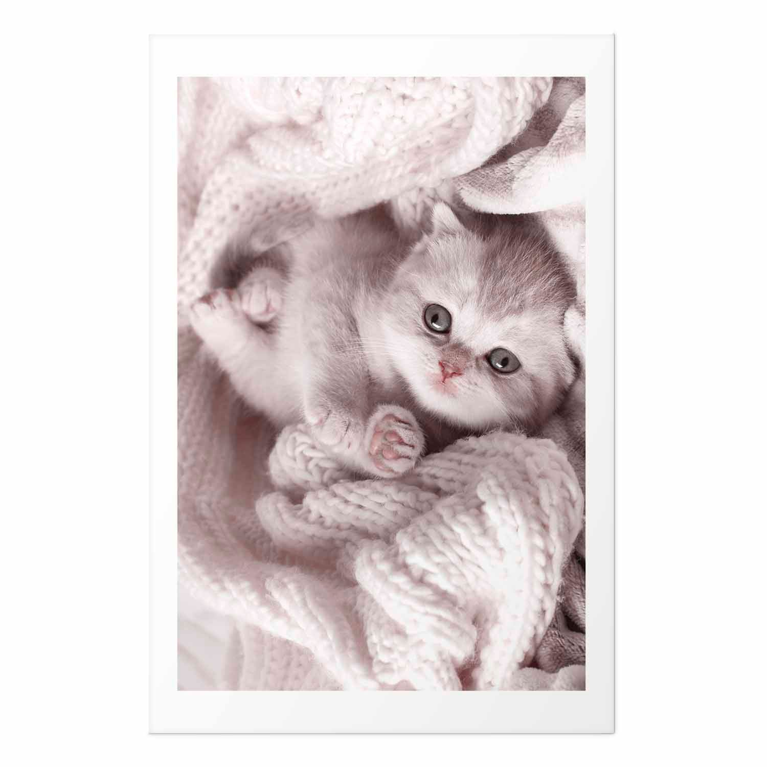 Sleeping Cat Winter Poster