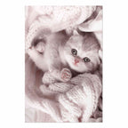 Sleeping Cat Winter Poster
