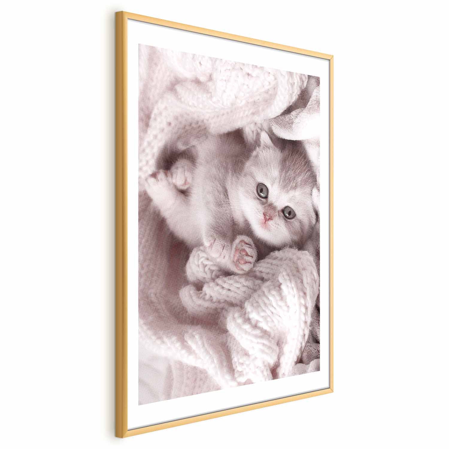 Sleeping Cat Winter Poster