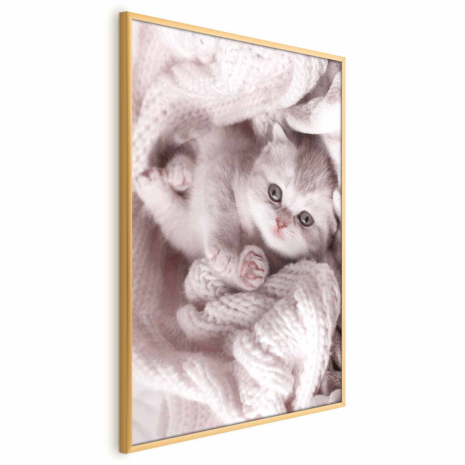 Sleeping Cat Winter Poster
