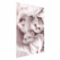 Sleeping Cat Winter Poster