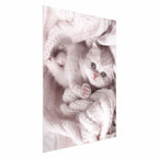 Sleeping Cat Winter Poster