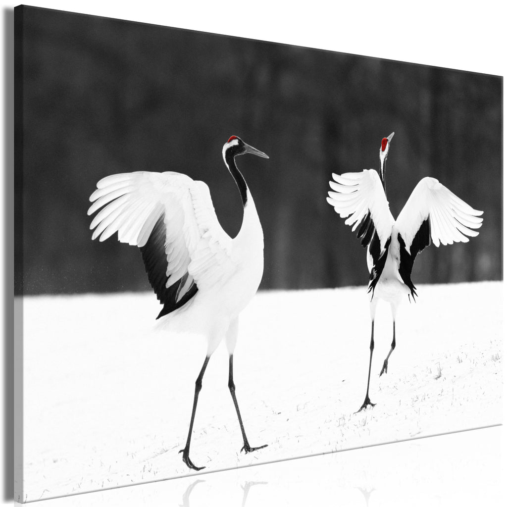 Canvas Print Dancing Cranes Wide