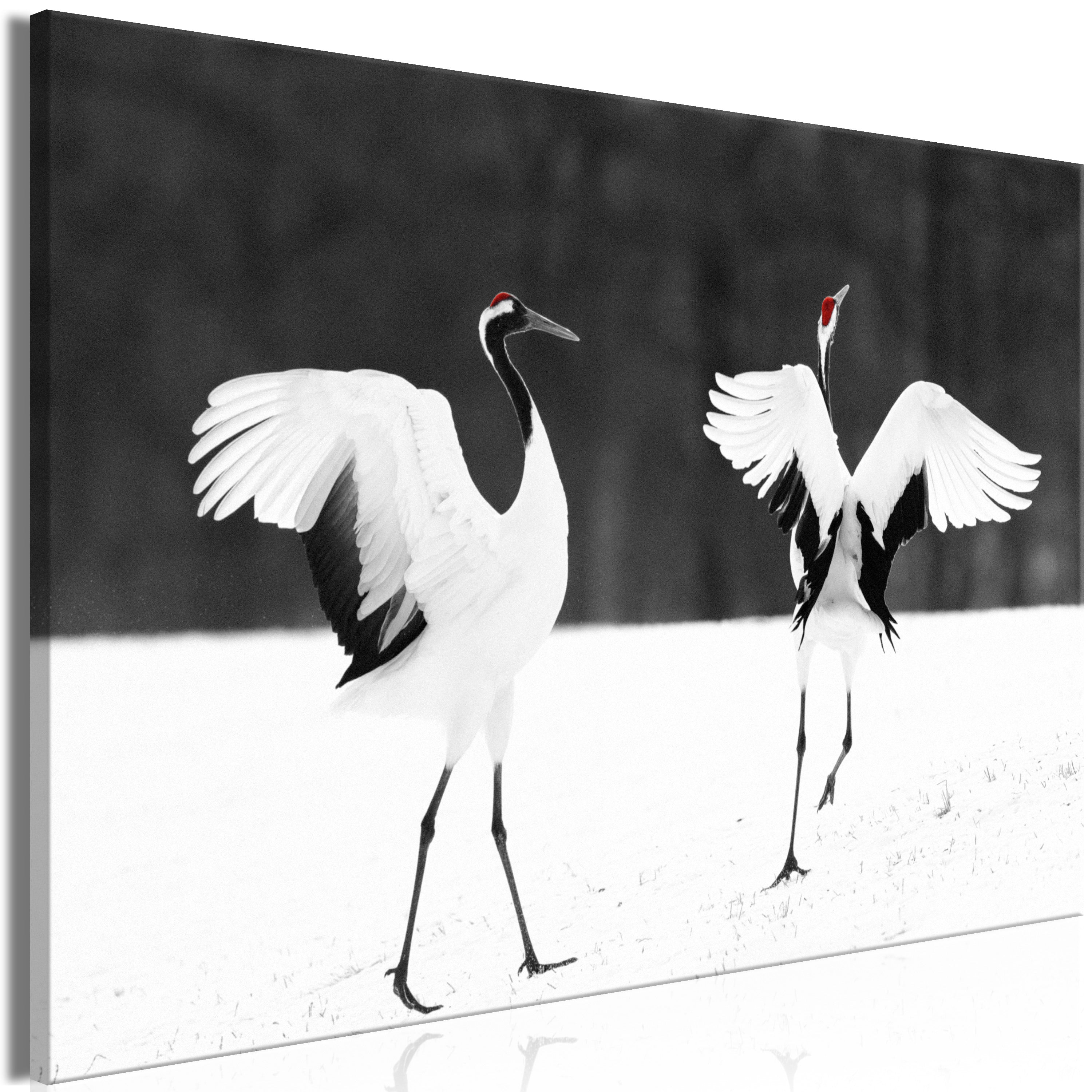 Canvas Print Dancing Cranes Wide
