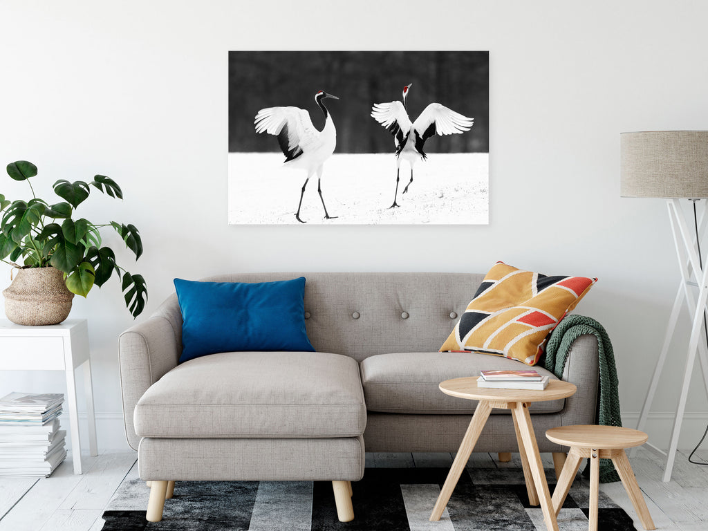 Canvas Print Dancing Cranes Wide