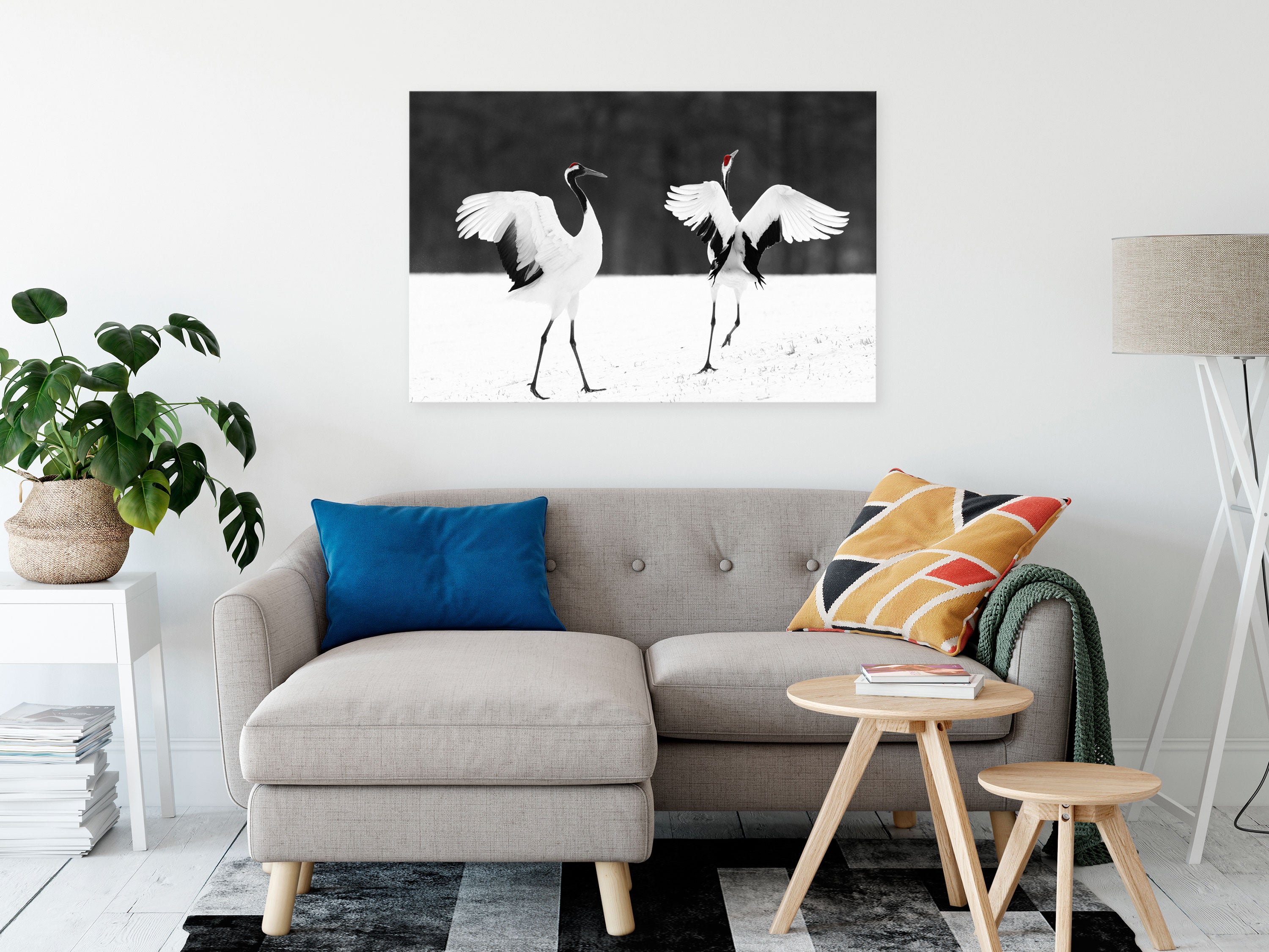 Canvas Print Dancing Cranes Wide