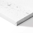 Dancing Cranes Winter Canvas Print