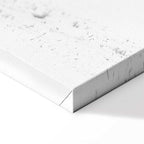 Dancing Cranes Winter Canvas Print