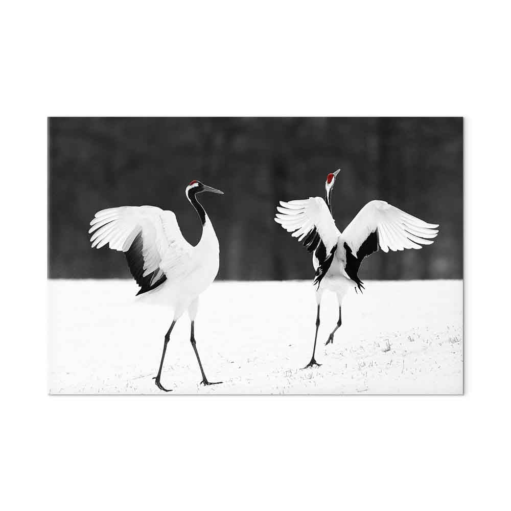 Dancing Cranes Winter Canvas Print