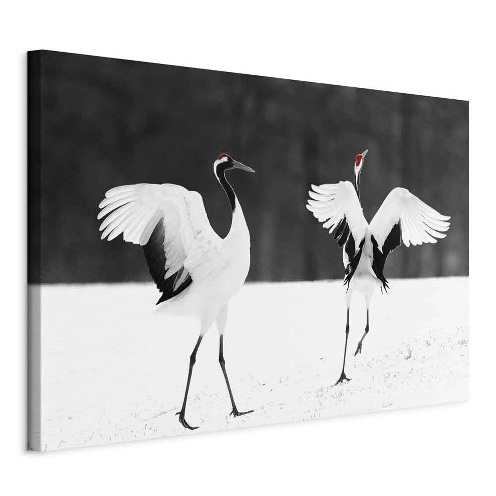 Dancing Cranes Winter Canvas Print
