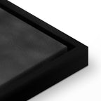 Dancing Cranes Winter Canvas Print