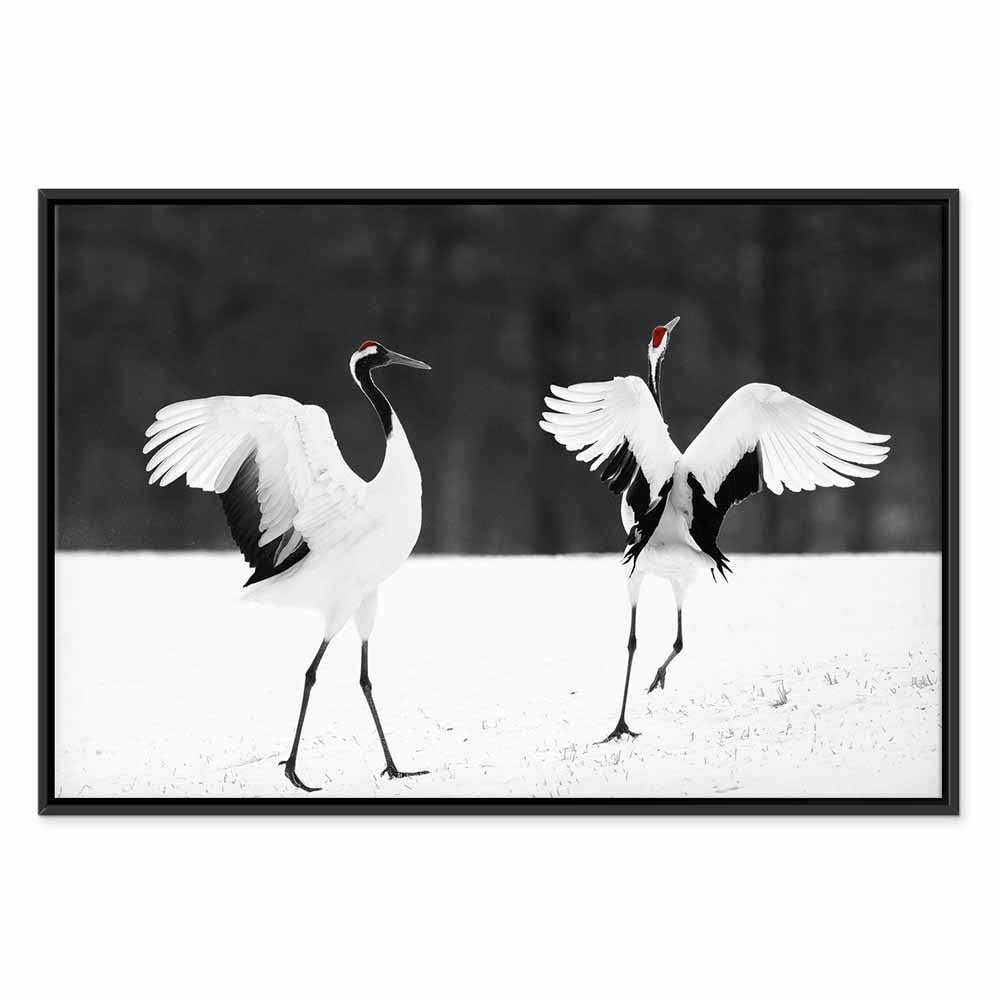 Dancing Cranes Winter Canvas Print